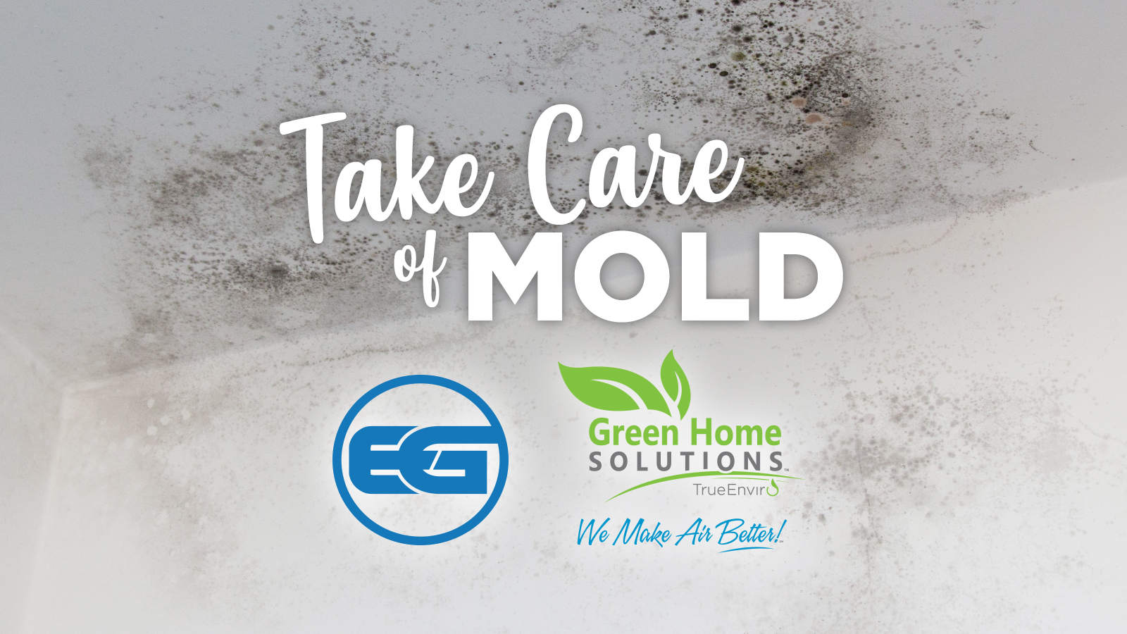 Elite Group & GHS TrueEnviro | Take Care of Mold