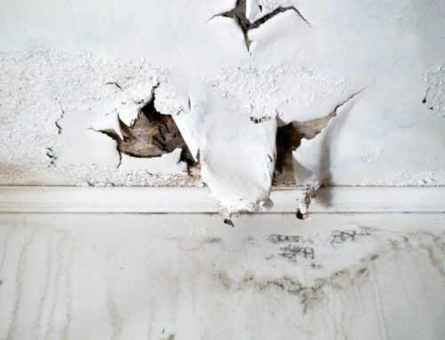 How to Spot Water Damage Prior to Purchasing a Home