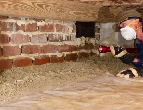 What Crawl Space Inspectors Look for During an Inspection