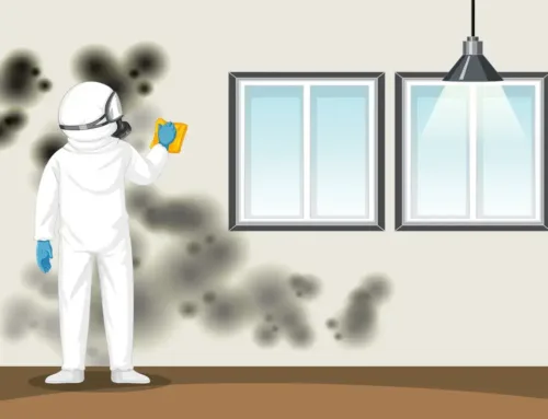 The Importance of Testing for Mold Growth in Wall Cavities in Orange County