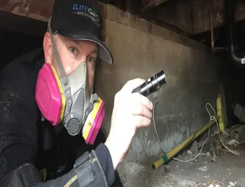 Common Crawl Space Problems Uncovered During Inspections in Rancho Cucamonga