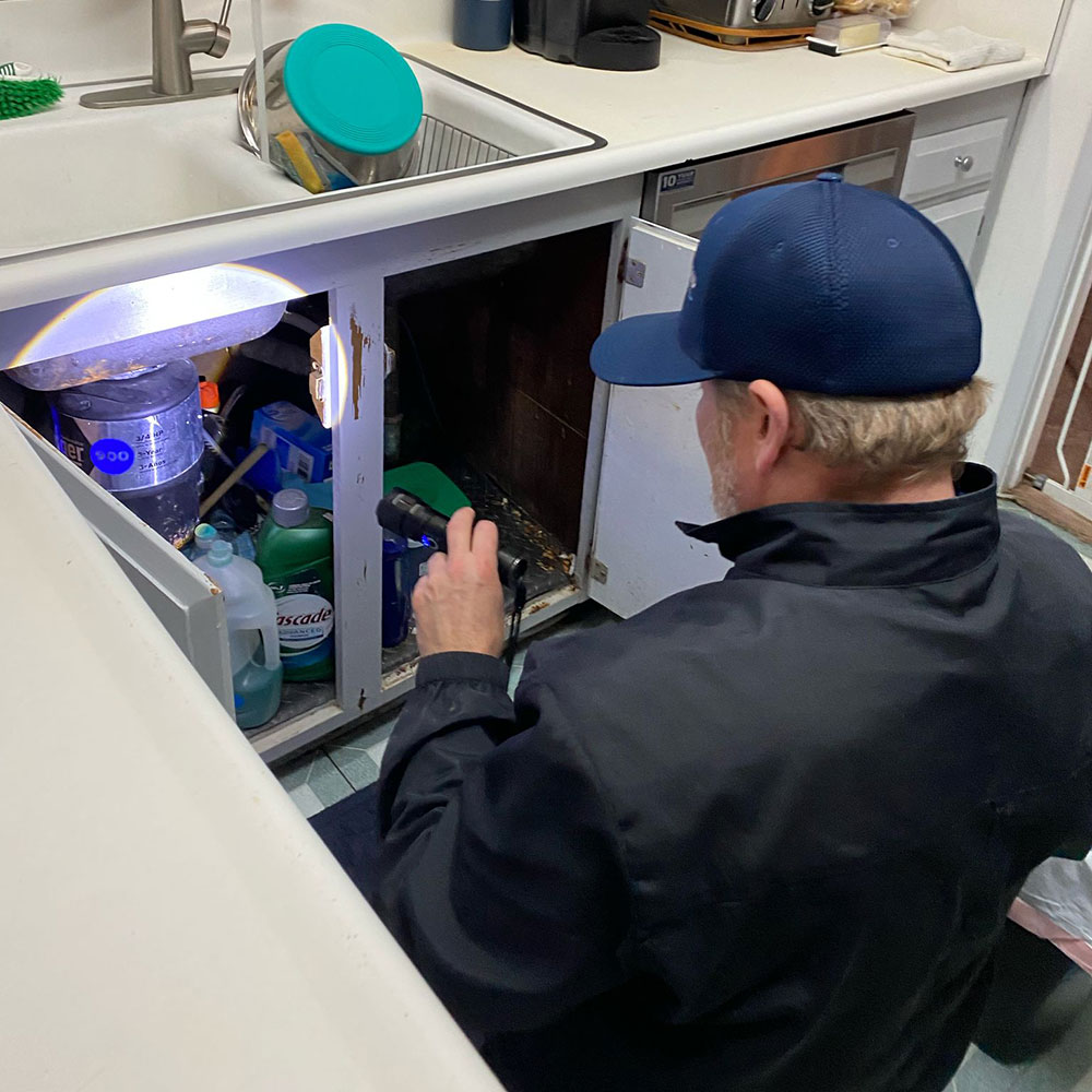 home_welcome_inspector-2 residential sewer scope inspection