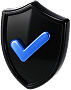 shield-with-gold-checkmark-security-protection-symbol 1