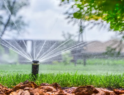 Signs Your Commercial Property’s Irrigation System Is Failing